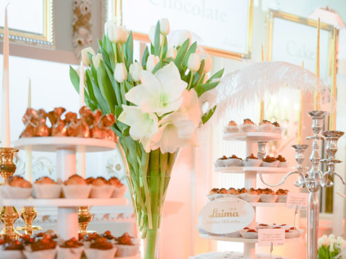 Eventhub - Laima EFA